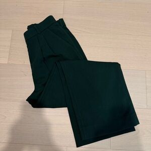 Abercrombie & Fitch Sloane Tailored Wide Leg Pant - Emerald Green